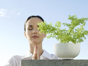 媒體曝光致明德產品創行業先河，引領中醫養生保健服務新潮流